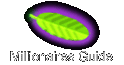 Millionaires Guide