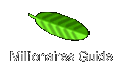 Millionaires Guide