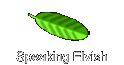 Speaking Elvish
